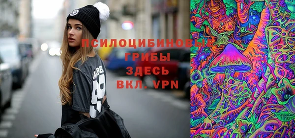 ешки Нефтекумск