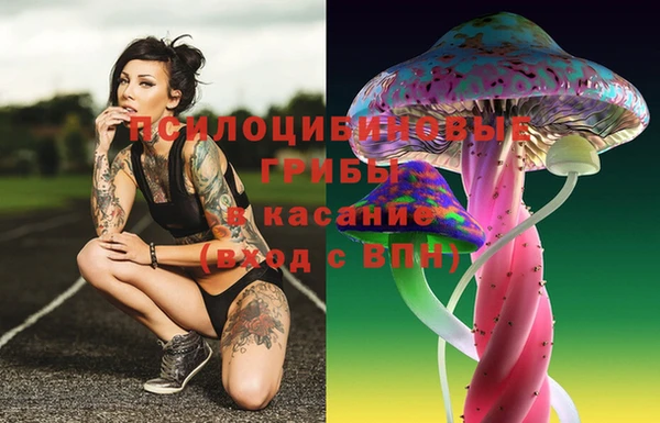 ешки Нефтекумск