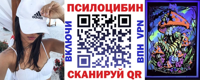 Галлюциногенные грибы Psilocybe  Кондопога 