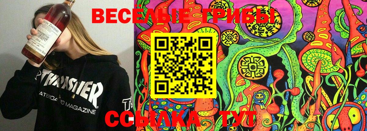 Галлюциногенные грибы прущие грибы  Кондопога 