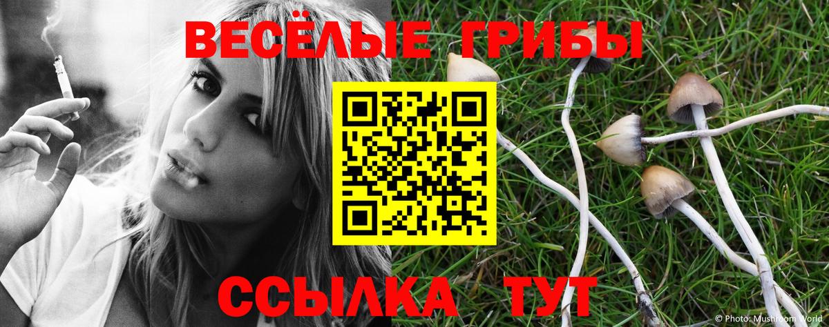 купить закладку  Вход с VPN  Кондопога  Галлюциногенные грибы Psilocybe 