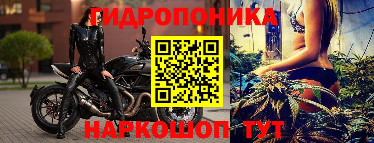 Бошки марихуана индика Кондопога
